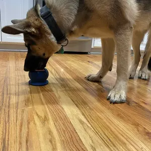 Freezball - Durable Fillable Dog Chew Bone