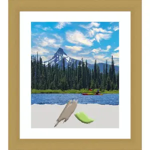 Amanti Art Grace Brushed Gold Picture Frame Opening Size 20x24 in. (Matted To 16x20 in.)