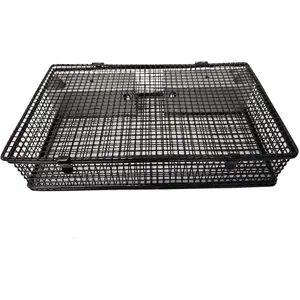 Rugged Ranch Mouseinator Live Catch & Release Mouse Trap Rugged Ranch Mouseinator Live Catch & Release Mouse Trap