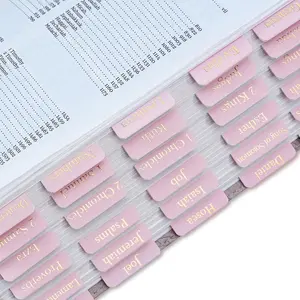 Leather Bible Tabs, Pink Bible Tabs for Women Study Bible, Gold Foil Bible Book Tabs, Bible Study Supplies, 66 Bible Tabs for Old and New Testament, Additional 9 Tabs