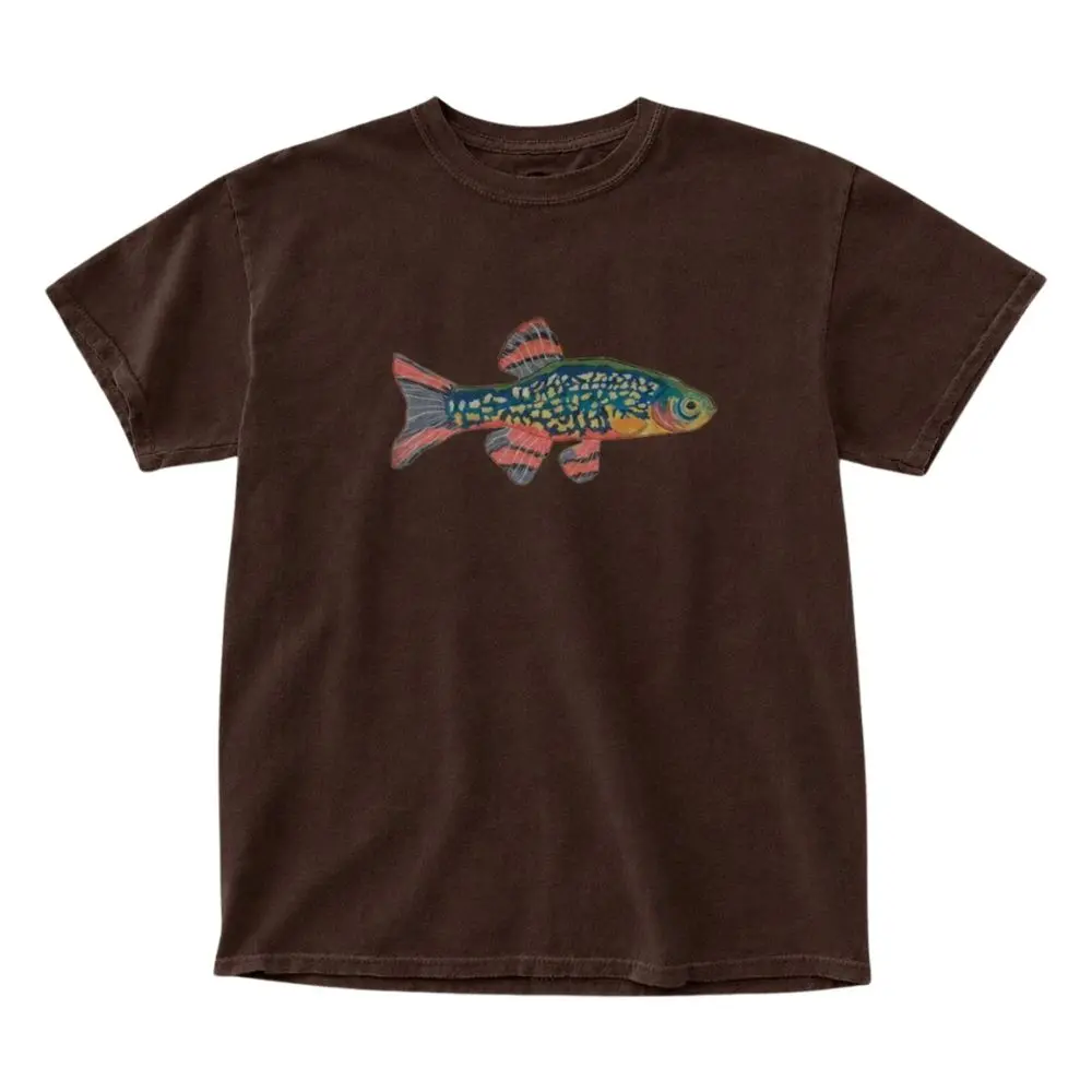 The Colorful Fish Graphic T-Shirt, Vintage Nature Aquarium Shirt, Artistic Marine Life Shirt, Aesthetic Nature Shirt,  Menswear Top, Womenswear Top Underwear Streetwear