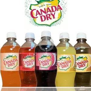 Canada Dry Assorted Fruit Flavors Peach Pineapple Cranberry Vanilla Black Cherry 20oz