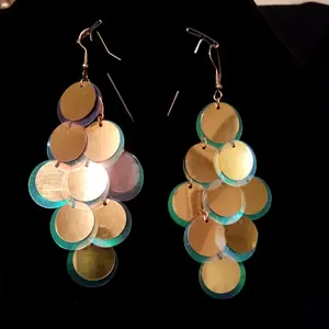 large Sequin Earrings,