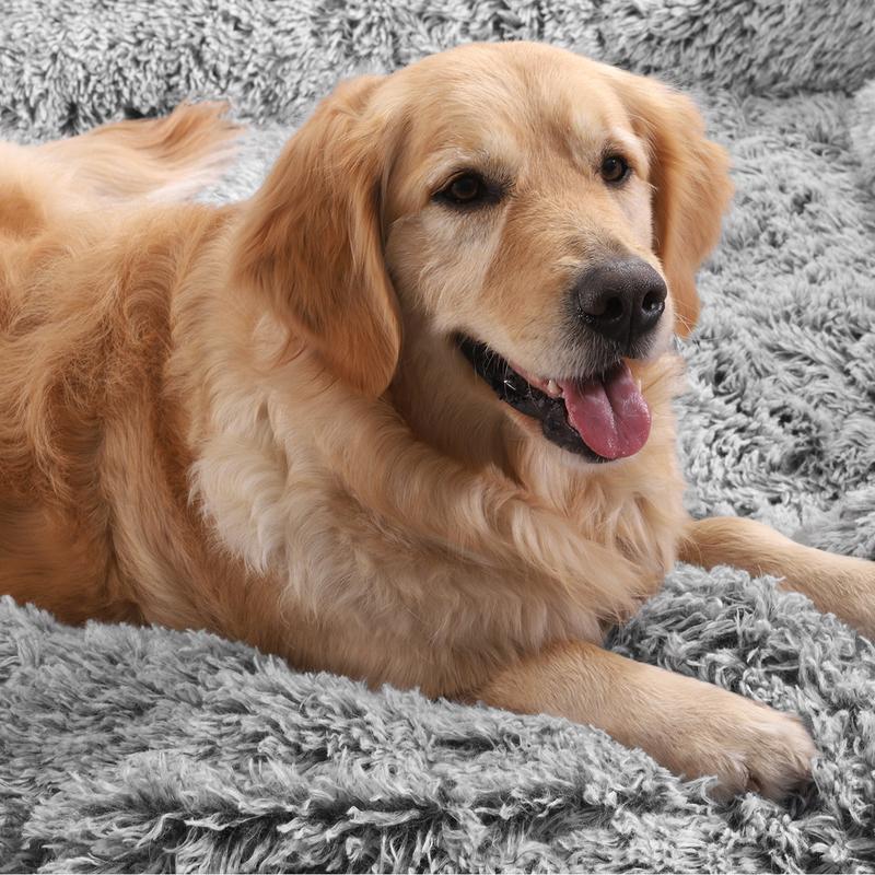 DWVO Human Dog Bed, 79"x43" Extra Large Memory Foam Dog Beds for Adults and Pets with Blanket and Pillow, Washable Fur Cover