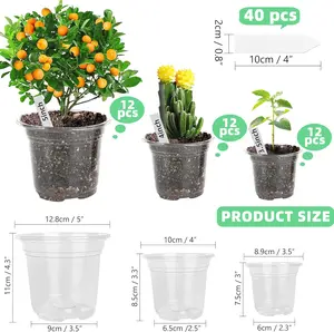 Small Plastic Plant Nursery Pot/Pots (36 Packs 5/4/3.5 Inch Plant Pot and 40 Plant Labels) Seedlings Flower Plant Container (Transparent) Seed Starting Pots Indoor Outdoor