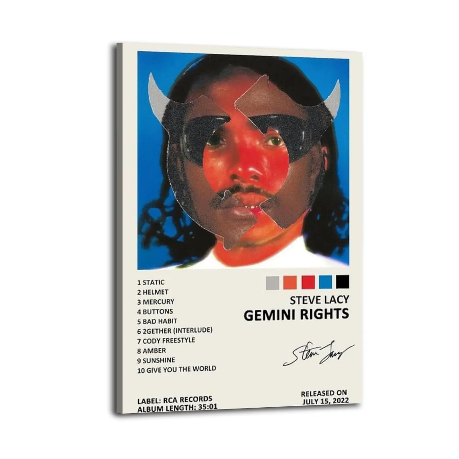 Steve Lacy Gemini RightsArt Canvas Posters Photos Wall Decorations Canvas Printing Living Room Bedroom Decoration Wall Decoration Printing Office Aesthetic Posters