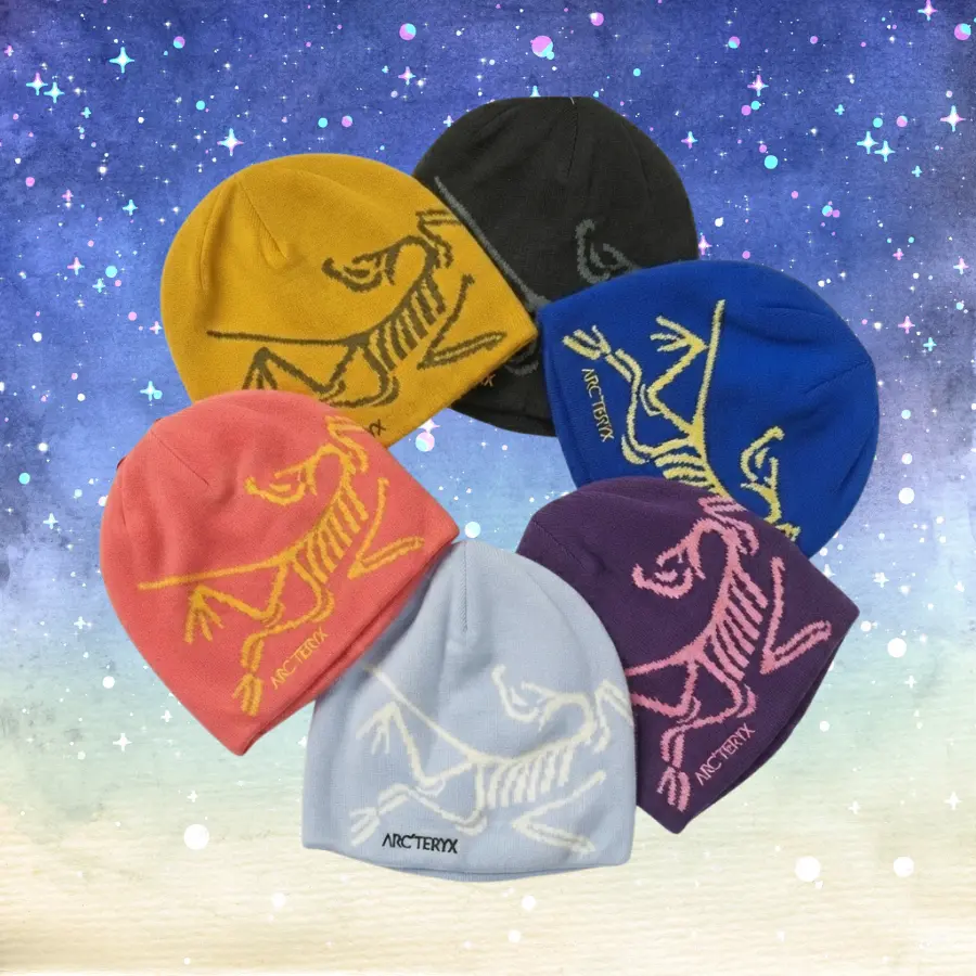 Arc'teryx Knit Beanie Premium Bird Logo Warm Stretch Winter Hat Unisex Ski Snow Outdoor Cap Multiple Colors
