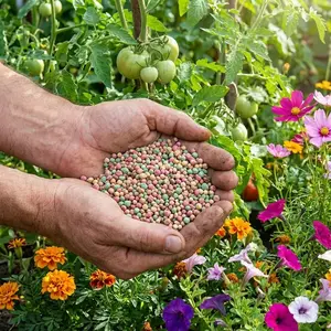 Plant Nutrition Fertilizer 200g Stops Blossom End Rot Strengthens Cell Walls with Boron Calcium Magnesium for Healthy Growth