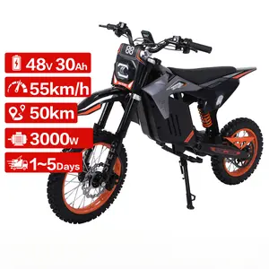 FREEBOY Y88 Electric Bicycle Peak 3000W Mid-Drive Motor 48VЗ0AH Battery Motorcycle E-bike,14" Tire Off-Road Electric Motorcy