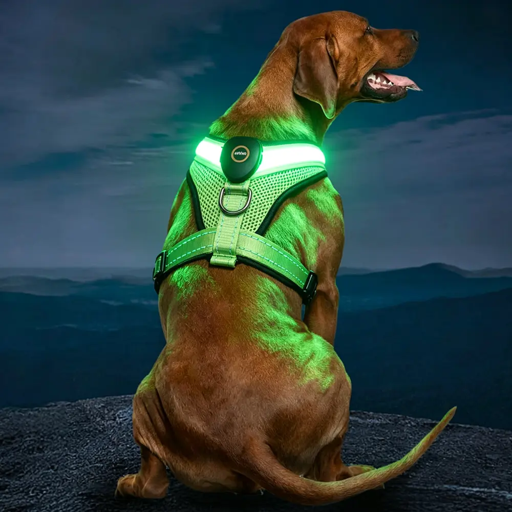 【LED Rechargeable】 Step-In Air Dog & Cat Harness and Leash Set No Pull - Breathable Light Up Mesh Vest with 5ft High-strength Reflective Nylon Rope for Small Medium Dogs & Cats - Adjustable, Easy Step-In girl personalized collar