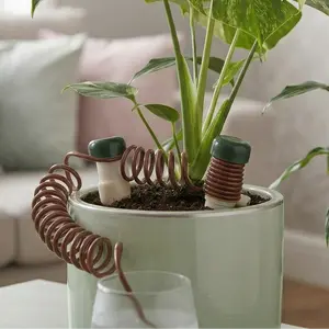 Automatic Plant Waterers