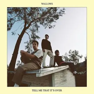 Wallows - Tell Me That It's Over [Yellow Vinyl] NEW Vinyl Record 075678639364