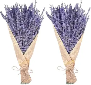 Dried Lavender Bundles, Natural Dried Lavender Flowers 150 Stems 15-17" for Shower Home Fragrance Weeding Crafts Decor 50g(1.76oz)