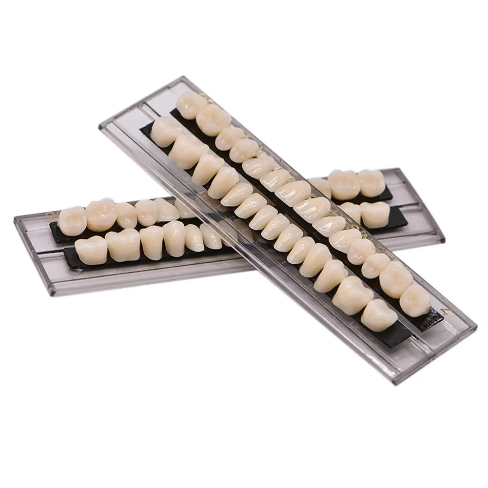 Dental Acrylic Resin Denture Tooth Kit False Tooth For Halloween Horror Prop 23 A2(28 Pcs/Set)