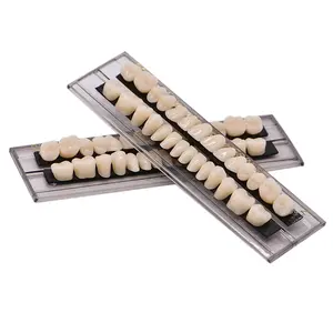 Dental Acrylic Resin Denture Tooth Kit False Tooth For Halloween Horror Prop 23 A2(28 Pcs/Set)