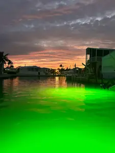 Barnacle Burning Lamps & Saltwater Approved 14,000 Lumens Each Brilliant Green Double Lamp Underwater Fish Lights with 50' Cords 28,000 Total Lumens Self-Cleaning Design UL Approved GFCI Plug Included