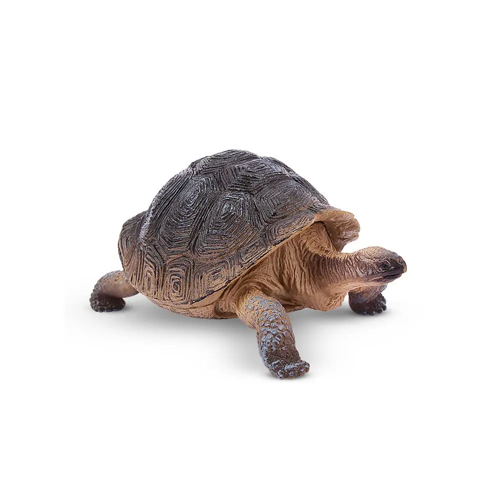 Toymany Hand-Painted Galapagos Tortoise Animal Figurine - Realistic Reptiles Model, Ideal for Early Education, Montessori Sensory Play, Collectible & Thoughtful Gift, Home/Desk/Cake Party Decor, Unisex