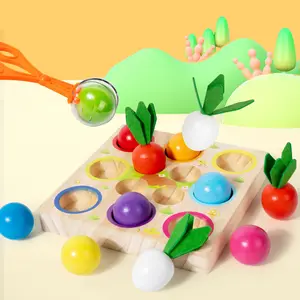 Wooden Educational Ball Catch Toy, Color Sorting Shape Recognition, Hand-Eye Coordination Fine Motor Skills Training, Shape Sorter, Christmas Gift for Kids over 3 Years