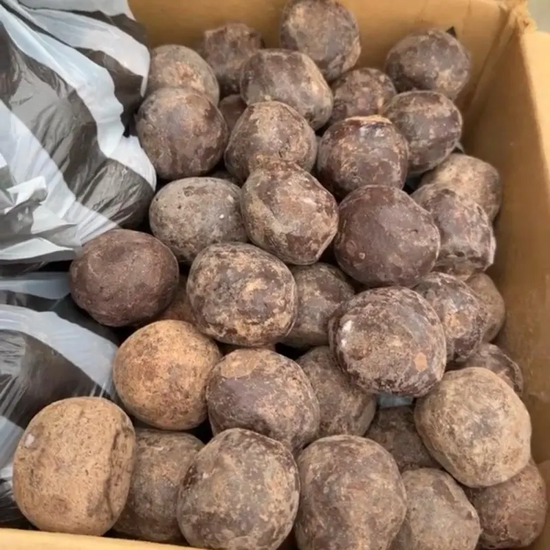 Chokola peyi Haiti 12pcs