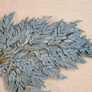 Preserved Fern, Haze Blue Leather Leaf, 10 Stems Preserved Soft and Whispy Wedding Ferns-Tree Fern-Haze Blue Ferns-Floral Decor