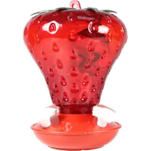 Audubon-woodlink  Strawberry Hummingbird Feeder 40 Oz.- Red