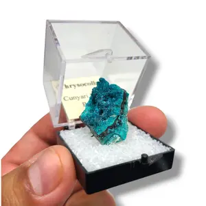 Chrysocolla Cunyari Mine - Vibrant Peruvian Specimens in Perky Boxes