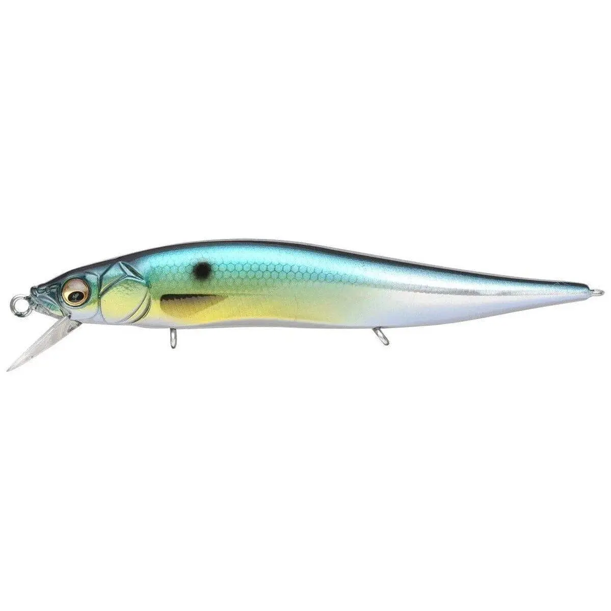 Gg Threadfin Shad