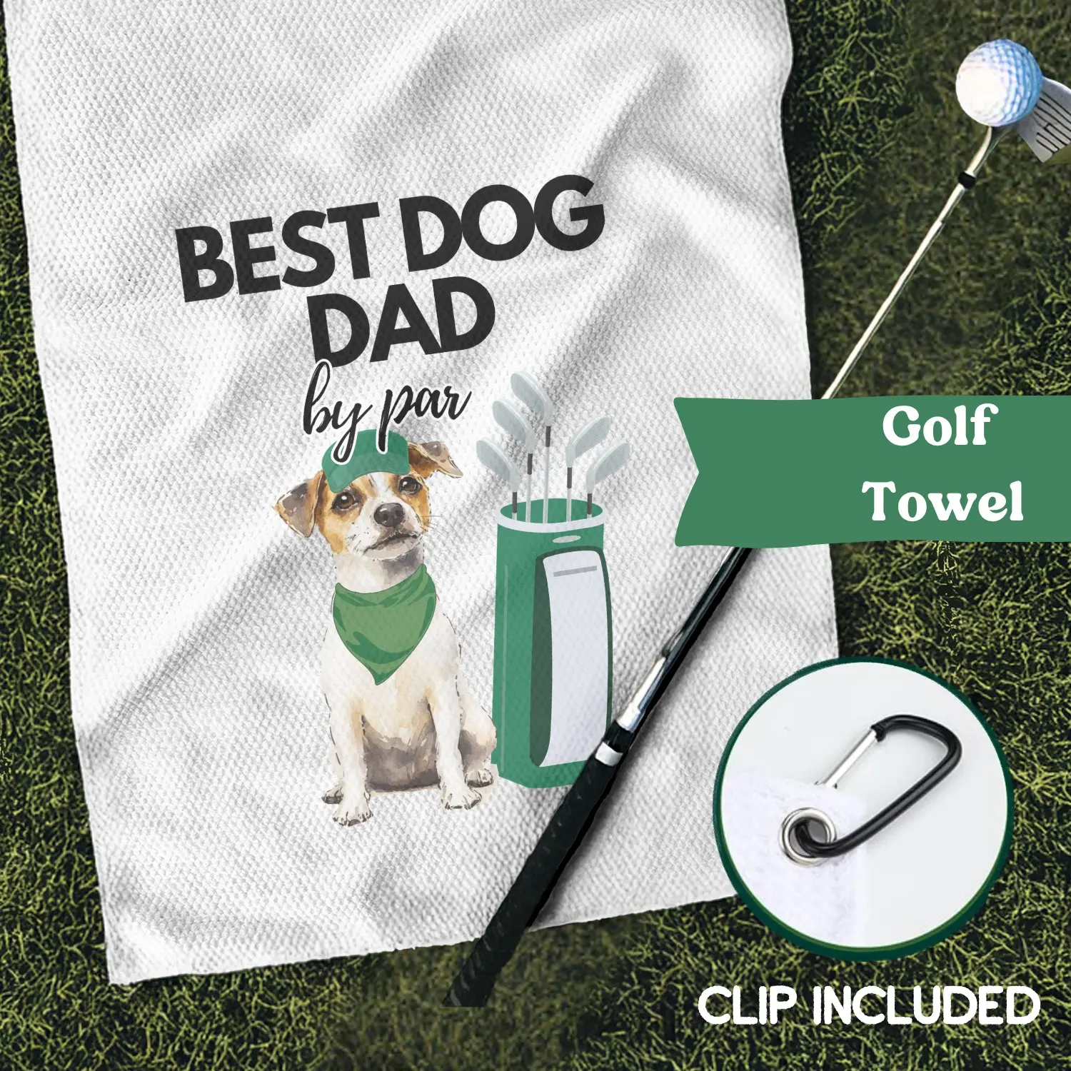 Jack Russell terrier #1