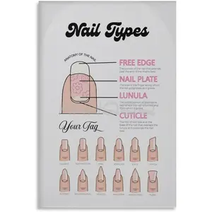 Manicure Salon Poster Nail Type Guide Chart (6) Canvas for Bedroom Living Room Decor 20x30inch(50x75cm) Unframe-style