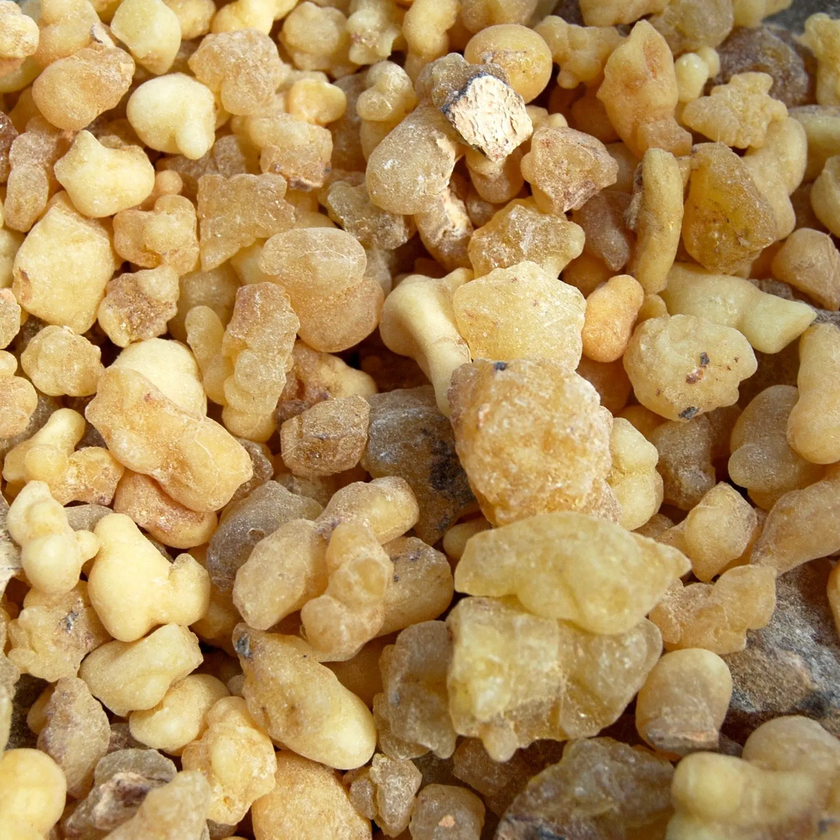 Ethiopian Frankincense Tears Resin Incense, 1 Ounce