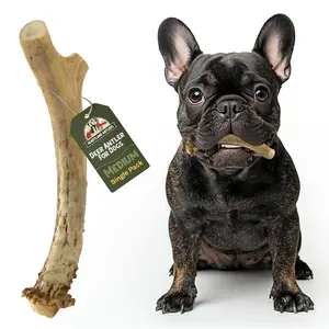 Heartland Antlers Medium Deer Antler Dog Chew | 5" Long | 2–3 oz | For Dogs 25–45 lbs | Natural, Durable & USA Sourced