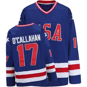 Ice Hockey Jersey Stitched Letters & Numbers Athletic Tops Breathable Polyester Mesh Fabric Long Sleeve for 90s Party & Daily Wear Christmas gifts UglySweater