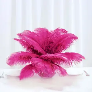 12-Pack 13"-15" Fuchsia Real Ostrich Natural Plume Feathers, DIY Centerpiece Fillers for Home Festive Party Decorations