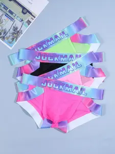 4-Piece Semi-Transparent Mesh Fabric Sexy Low-Rise Tie-Dye Waistband Fashion Neon-Coloured Men's Briefs Underwear Soft Stretch Briefs for Daily Wear, Leisure, Gym, Parties and Clubs