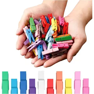 Clothespins, Small Clothes Pins for Photos, 1.4'' 100 count  Birchwood Mini Clothes Pins,  Springs Colorful Clothespins with Storage Bag, Mini Clothespins for Photos, Crafts, Pictures, Art