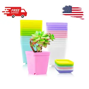 24 Pack Colorful Flower Pots Square Plastic Plant Pots Succulent Planter Nursery Pots