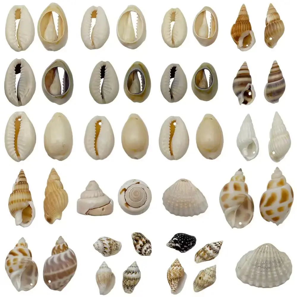 Natural Mixed Small Sea Shells Conch Beads for DIY Bracelet Necklace Jewelry Making, Beach Craft Home Decor Resin Filling Accessories