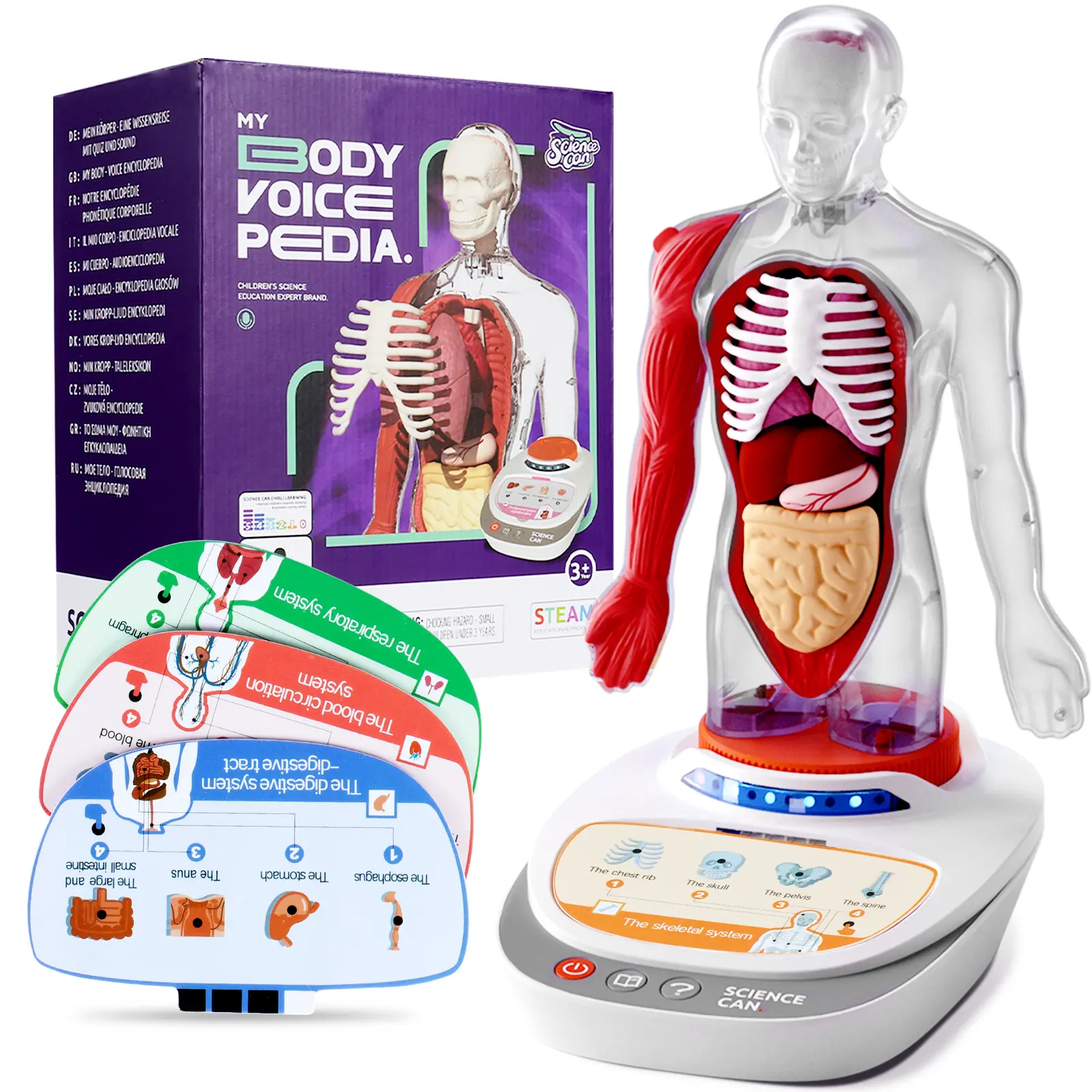 Science Can Unisex Talking Human Body Model for Kids - 15 Parts, 15 Organs, Ages 6+, STEM Educational Toy, Anatomy Guide, Interactive Voice Modes, Transparent Design, Montessori Magnet Tiles, Cool Gifts for Kids