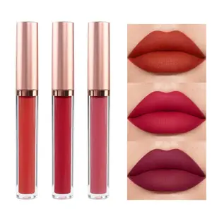 4Pcs Velvet Matte Liquid Lipstick Lipgloss Makeup Sets,Red Brown High Pigment Color Long-Lasting 24H Lipstick for Women Non-Stick Cup Not Fade Waterproof Lip Gloss labiales mate 24 horas originales