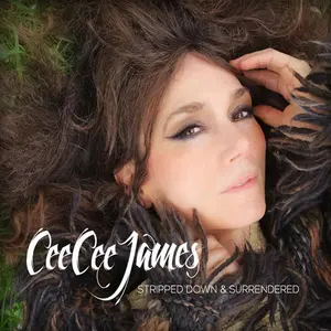 Cee Cee James - Stripped Down & Surrendered  [COMPACT DISC - CD]