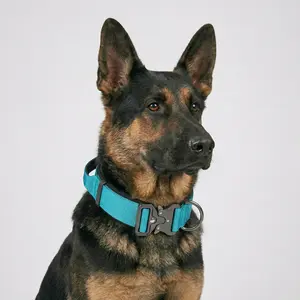 Vibrant Aqua Blue Tactical Dog Collar with Handle - Heavy Duty Anti Pull K9 Training Gear, Quick Release Metal Buckle for Large Dogs, German Shepherd, Malinois - Cyan Padded Pet Collar