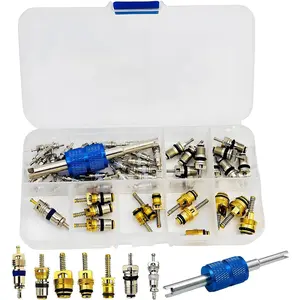 49-piece Car Air Conditioning Valve Core Kit, A/C R12 R134a Car HVAC Refrigeration Valve Core Repair Kit, Dual-head Dual-disassembly Installation Tool, A/C Valve Core Kit and AC Disassembly Installation Tool