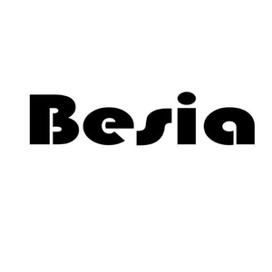 Besia E Store Best Buy