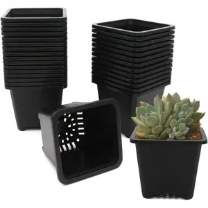 4 Inch Square  Pots, 30 Pack Sturdy &  Plastic  Containers Starter Pot with Drainage Holes for Seedlings,  & Garden , Black