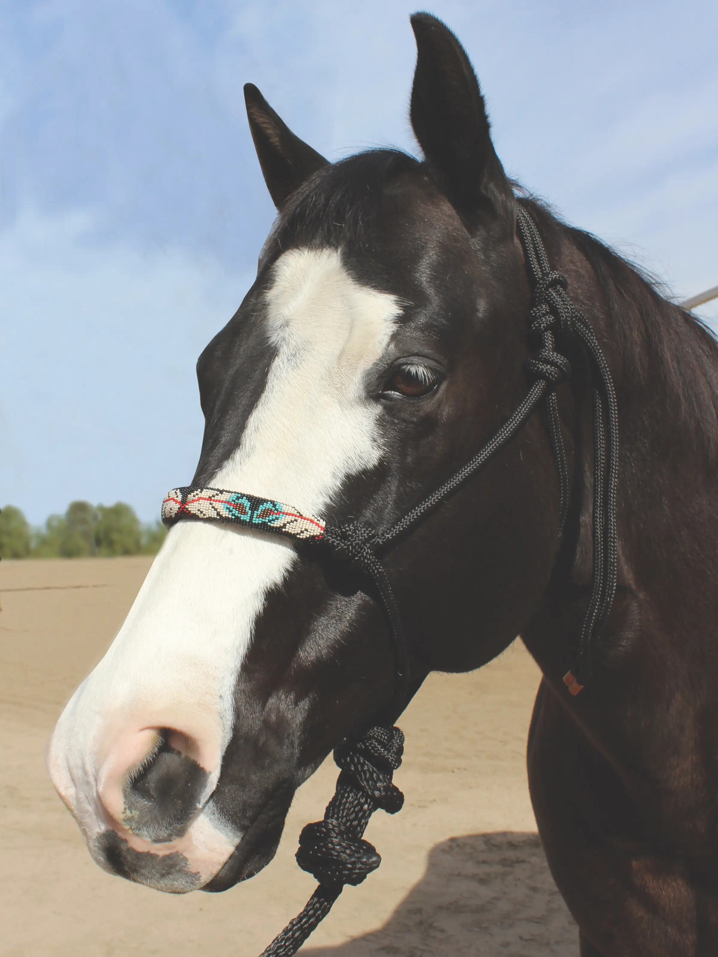 Professional's Choice Beaded Rope Halter Professional's Choice Beaded Rope Halter