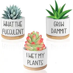Funny Succulent Pots, 3.15 inch Ceramic Flower  Pots with  Tray, Cute Cactus Planters with Drainage Hole, Birthday Gifts for Women,  Lover Gifts, Pack of 3 -  Not Included