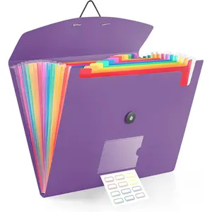 13 Pocket Accordion File Organizer with Elastic Closure, Expanding File Folder for Letter Size A4 Papers, Ideal for , Office Supplies, College Essentials - Purple