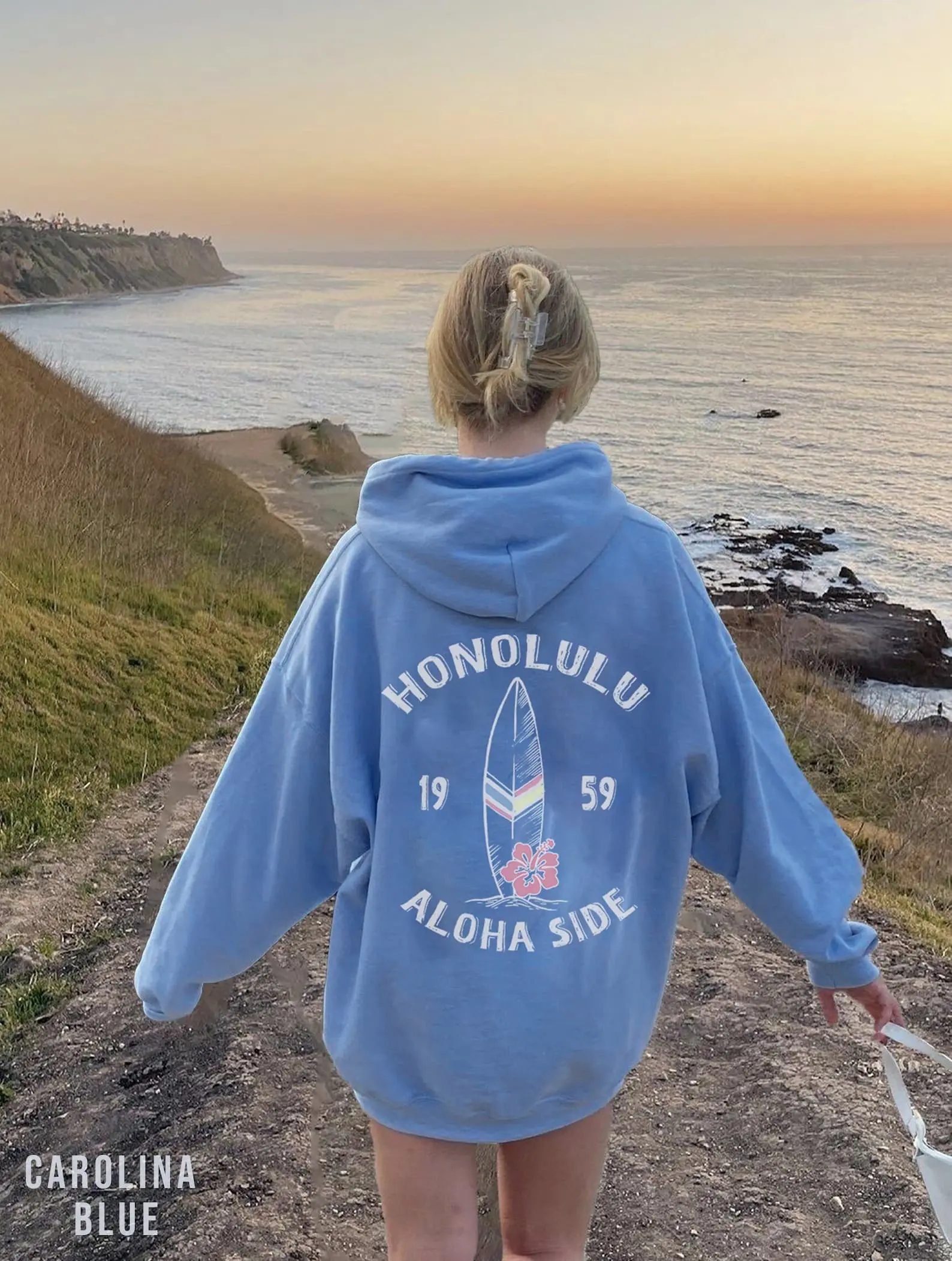 Hawaii Honolulu Sweater Hoodie Tshirt, Vintage Surfing Shirt, Gift for Women and Men, Family, Bestfriend