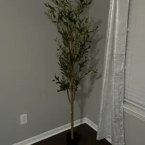 review image 4