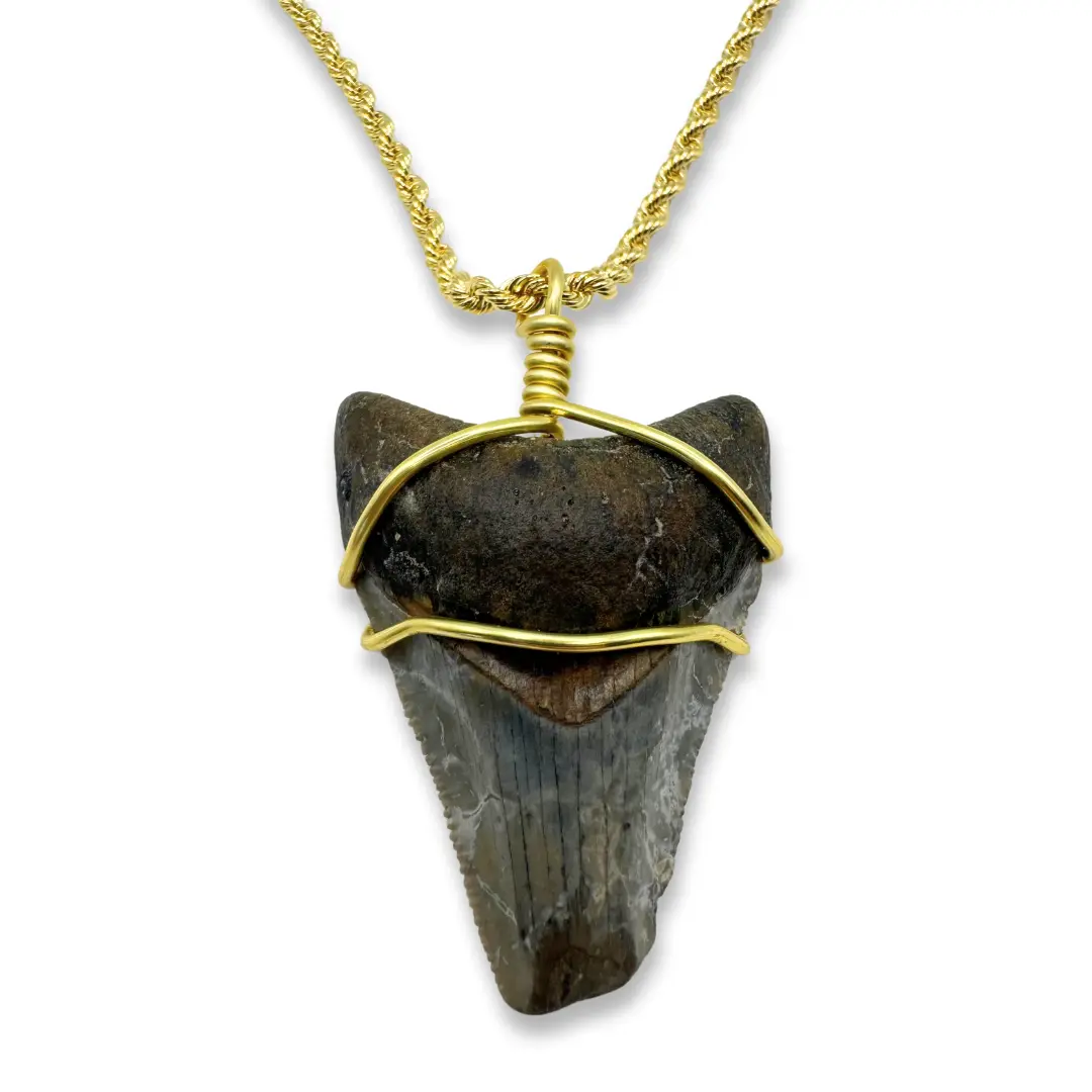 14K Gold Filled Rope Chain Megalodon Necklace with Authentic Pendant, Durable & Lightweight Design, Ideal Gift or Personal Jewelry Versatile